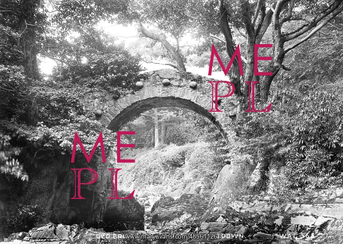 : Old Bridge, Tollymore Park, Co Down : Old Bridge, Tollymore Park, Co Down
