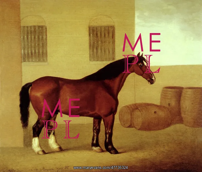 : Old Brown, Dray Horse : Old Brown, Dray Horse