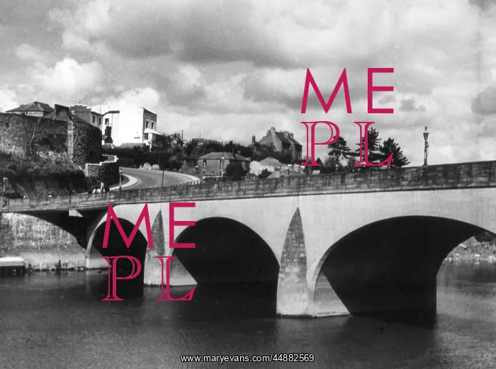 : OLD CARMARTHEN BRIDGE : OLD CARMARTHEN BRIDGE