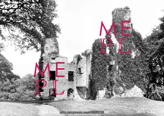 : Old Castle, Baronscourt, Co Tyrone : Old Castle, Baronscourt, Co Tyrone