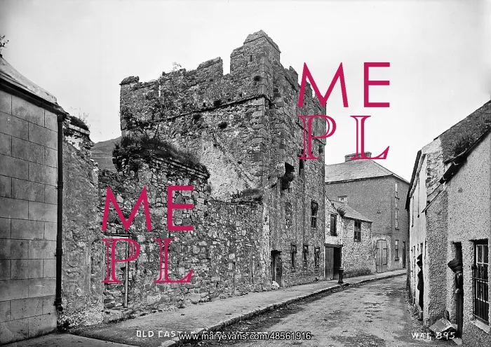 : Old Castle, Carlingford : Old Castle, Carlingford