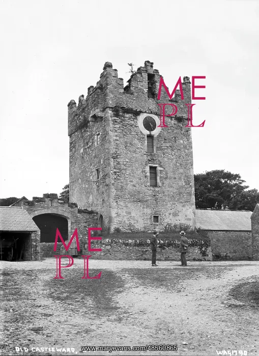 : Old Castleward, Strangford : Old Castleward, Strangford