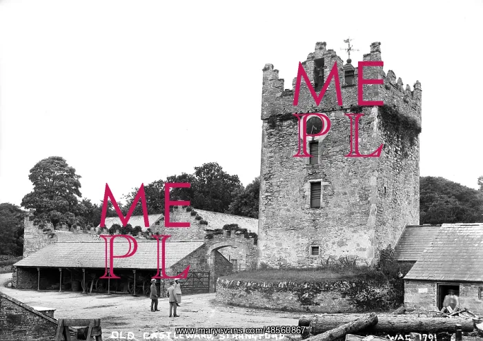 : Old Castleward, Strangford : Old Castleward, Strangford