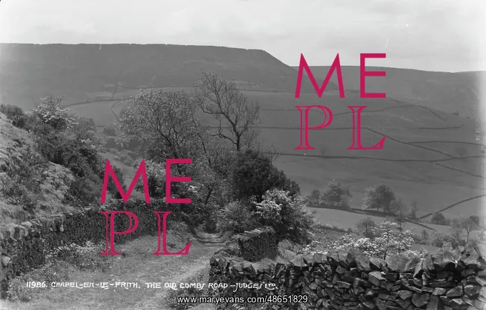: The Old Combe Road : The Old Combe Road