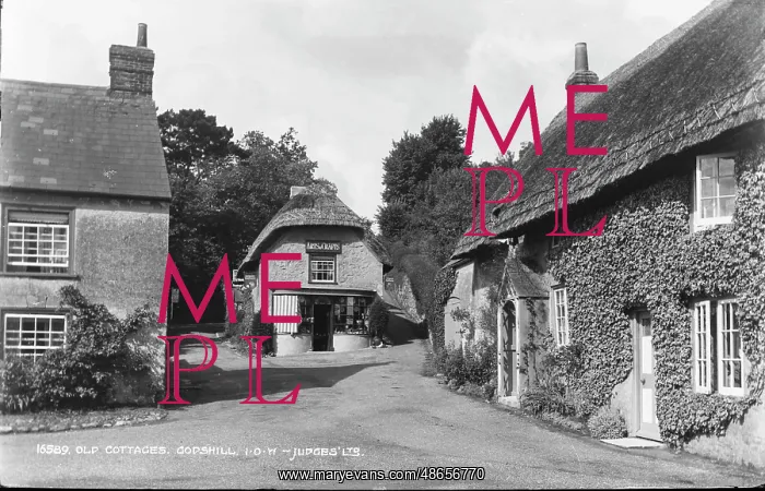 : Old Cottages in Godshill : Old Cottages in Godshill