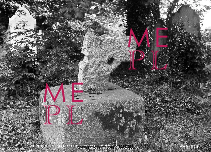 : Old Cross, Kill O the Grange, Co. Dublin : Old Cross, Kill O the Grange, Co. Dublin