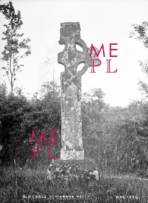 : Old Cross, St. Kieran's, Kells : Old Cross, St. Kieran's, Kells