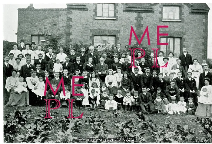 : Old Daniel's Family Group : Old Daniel's Family Group
