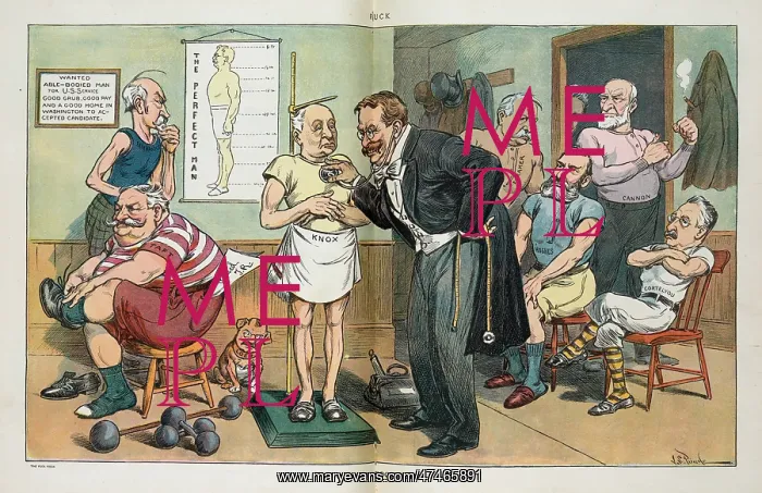: Old Dr. Roosevelt : Old Dr. Roosevelt