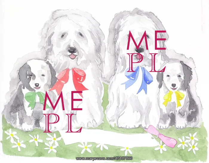 : Old English Sheep Dogs : Old English Sheep Dogs