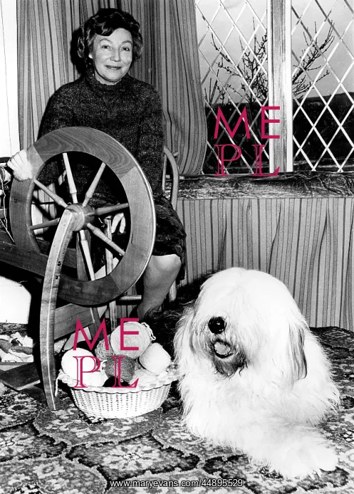 : Old English Sheepdog turned into wool : Old English Sheepdog turned into wool