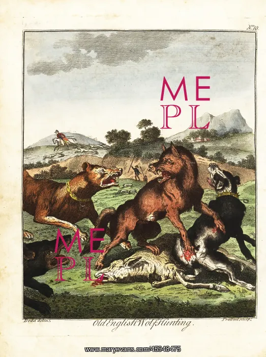 : Old English wolf hunting : Old English wolf hunting