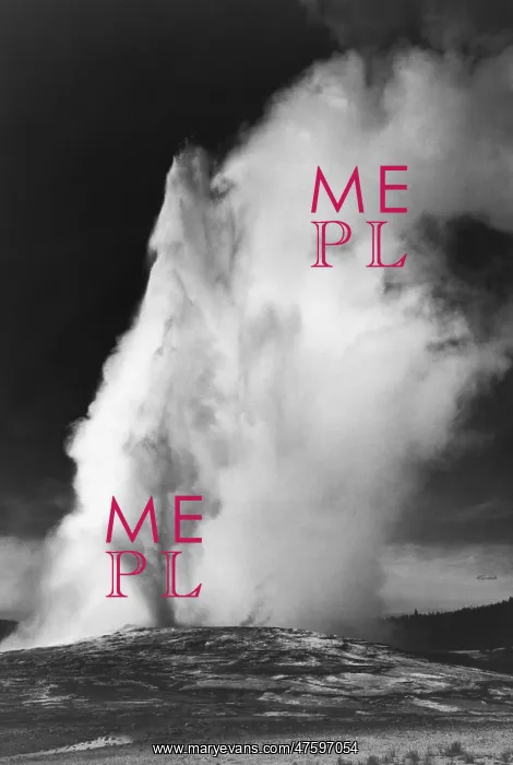 : Old Faithful : Old Faithful