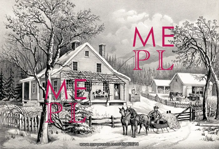 : The old farm house : The old farm house