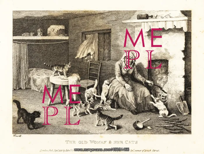 : Old hag seated at the hearth in a hovel surrounded by cats : Old hag seated at the hearth in a hovel surrounded by cats