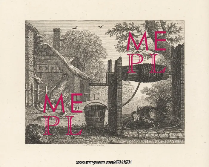 : The Old Hen and the Cock : The Old Hen and the Cock