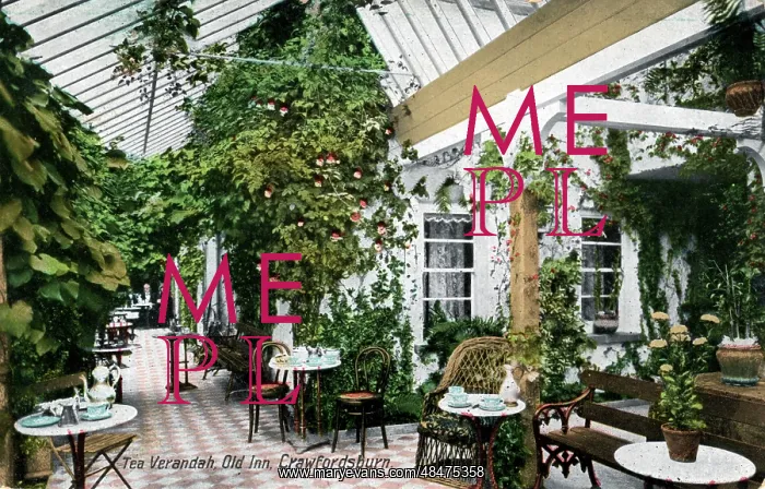 : Old Inn - Tea Verandah, Crawfordsburn, County Down : Old Inn - Tea Verandah, Crawfordsburn, County Down