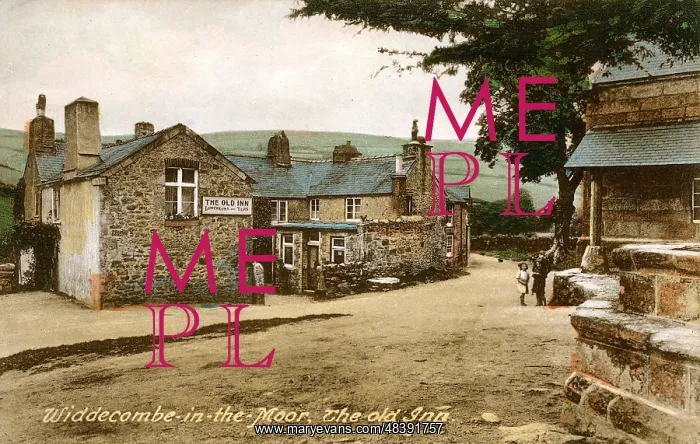 : The Old Inn, Widdecombe-in-the-Moor, Devon : The Old Inn, Widdecombe-in-the-Moor, Devon