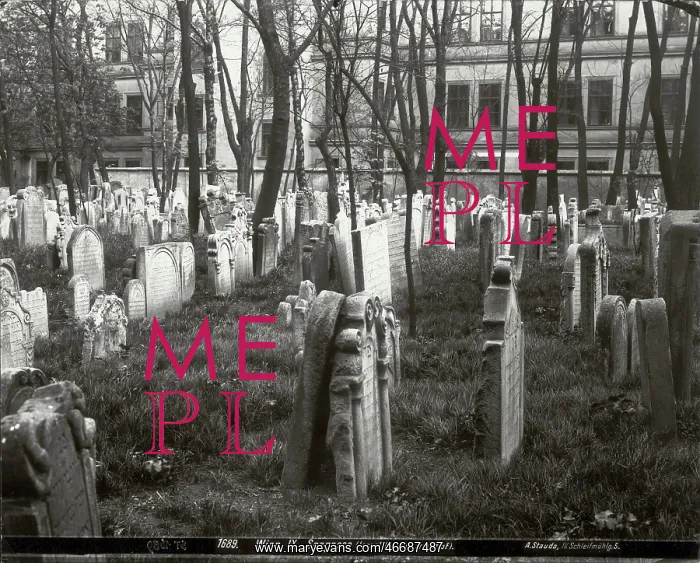 : The Old Israelite cemetery in Vienna IX : The Old Israelite cemetery in Vienna IX