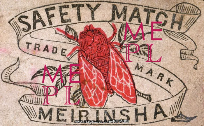  : Old Japanese Matchbox label with a red fly