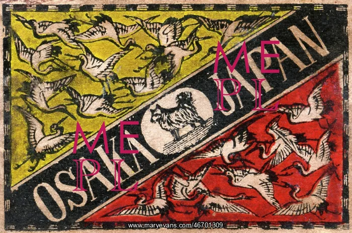 : Old Japanese Matchbox label with Whooping Cranes : Old Japanese Matchbox label with Whooping Cranes