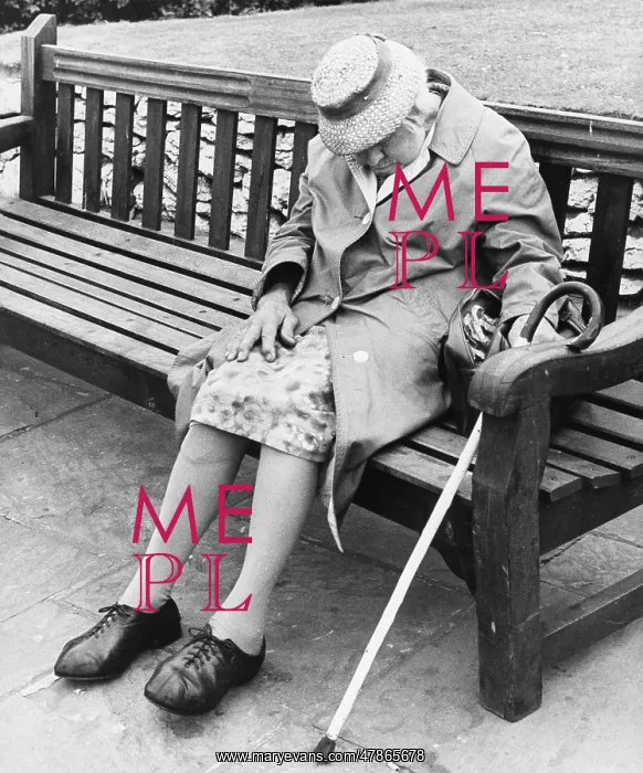 : Old Lady asleep on park bench : Old Lady asleep on park bench