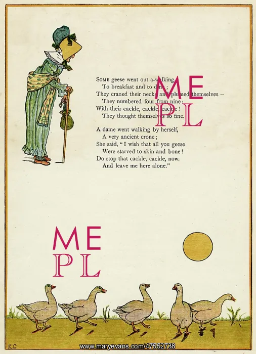: Old lady and five geese : Old lady and five geese
