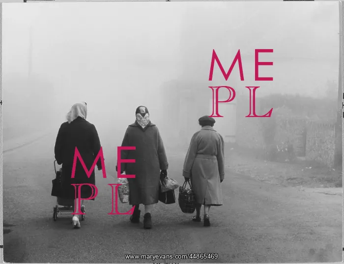 : OLD LADY SHOPPERS : OLD LADY SHOPPERS
