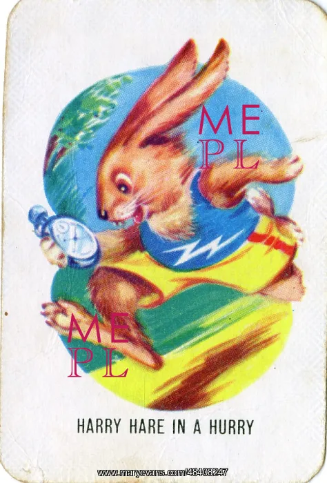  : Old Maid card game - Harry Hare in a hurry