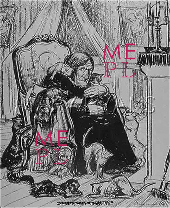  : OLD MAID AND HER CATS