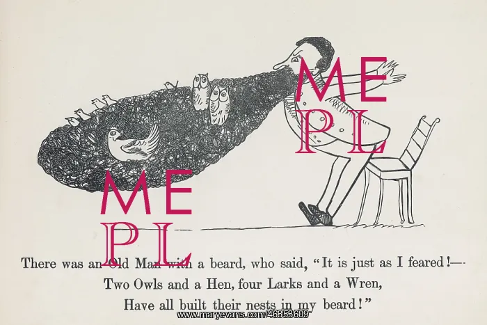 : Old Man With A Beard, Edward Lear : Old Man With A Beard, Edward Lear