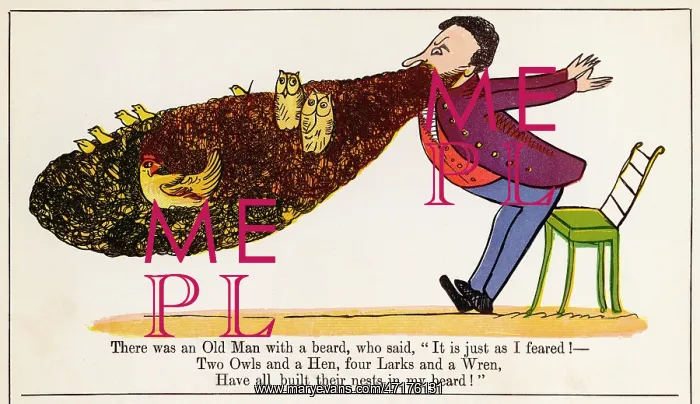 : Old Man With a Beard, Edward Lear : Old Man With a Beard, Edward Lear