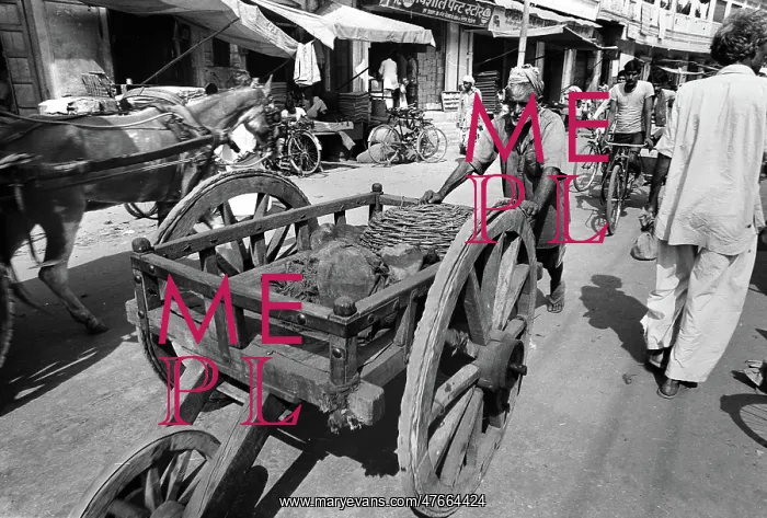 : Old man with cart, Kashmir : Old man with cart, Kashmir