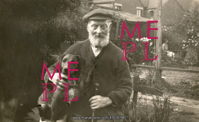 : Old man with dog in garden : Old man with dog in garden