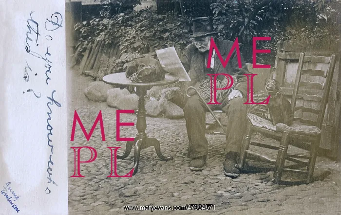 : Old man with two dogs and a cat in a garden : Old man with two dogs and a cat in a garden