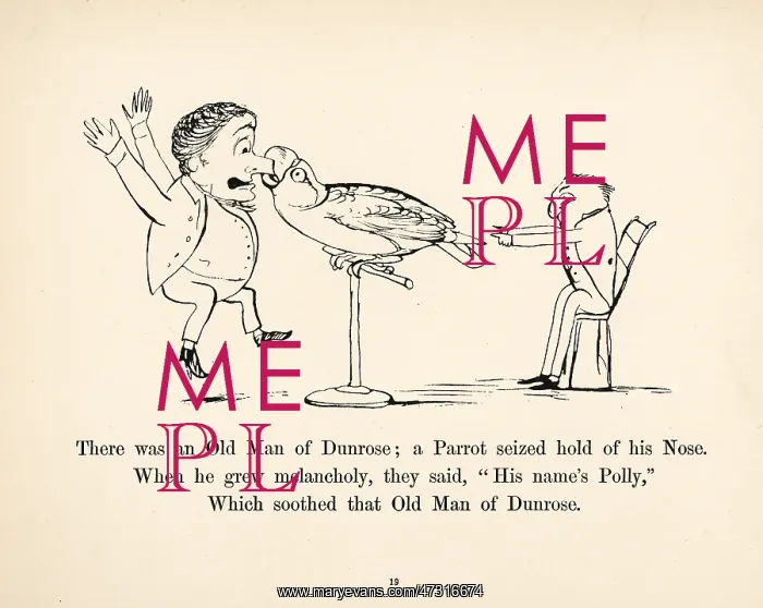 : Old Man of Dunrose, Edward Lear : Old Man of Dunrose, Edward Lear