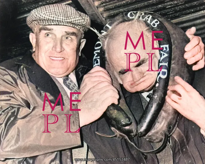 : OLD MAN GURNER : OLD MAN GURNER