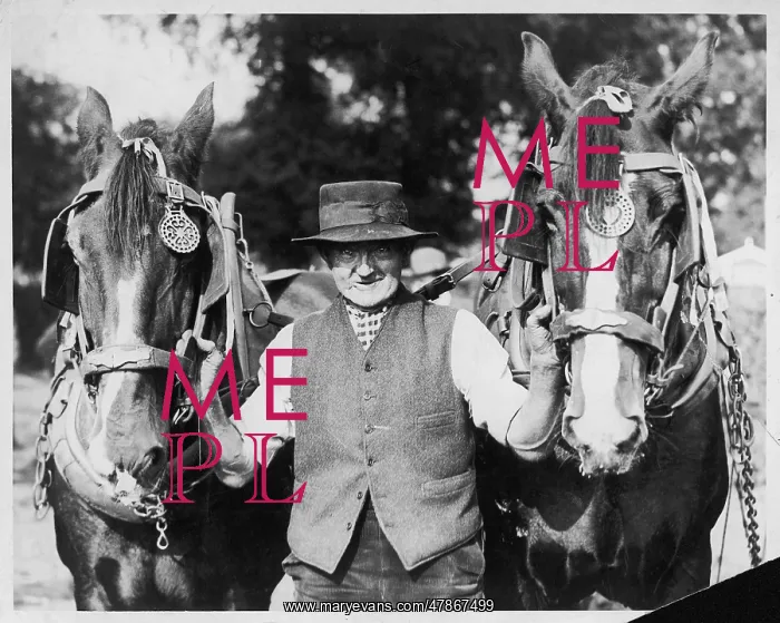 : OLD MAN AND HEAVY HORSES : OLD MAN AND HEAVY HORSES