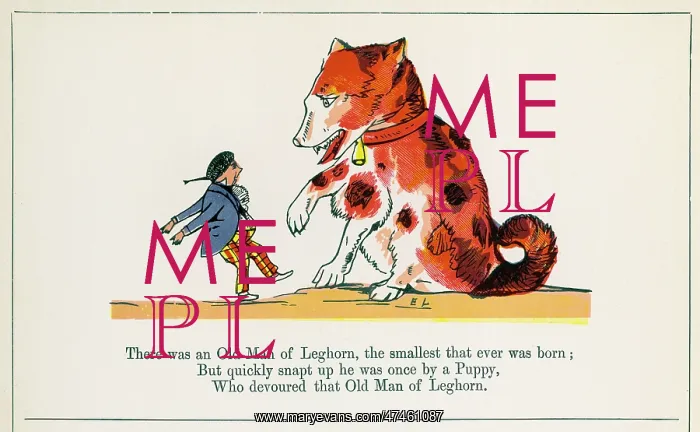 : Old Man of Leghorn, Edward Lear : Old Man of Leghorn, Edward Lear