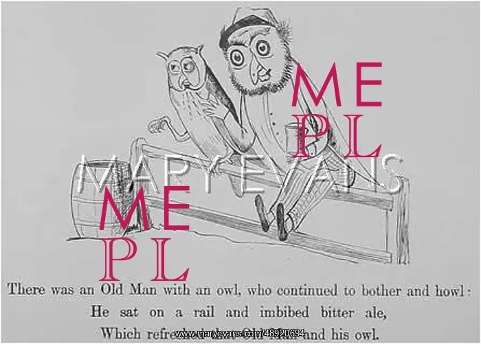 : Old Man With An Owl, Edward Lear : Old Man With An Owl, Edward Lear