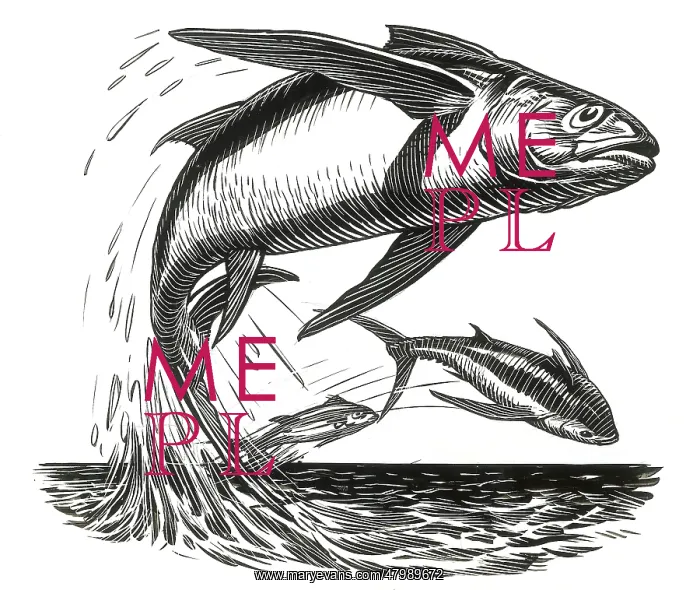 : The Old Man and the Sea : The Old Man and the Sea