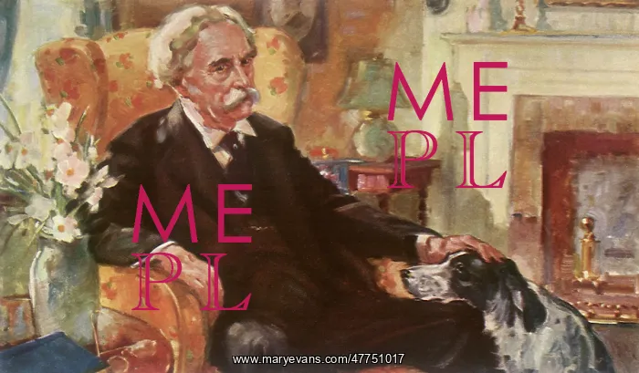  : Old Man sits with Dog