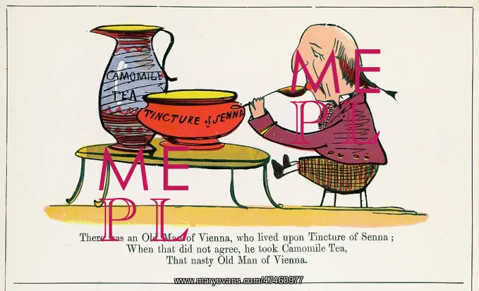  : Old Man of Vienna, Edward Lear