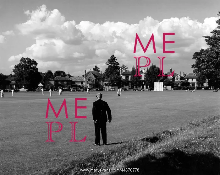 : OLD MAN WATCHING CRICKET : OLD MAN WATCHING CRICKET