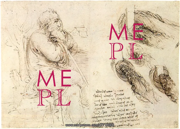  : Old Man and Water Studies, by Da Vinci