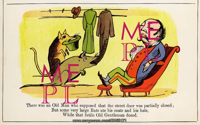 : Old Man Who Supposed, Edward Lear : Old Man Who Supposed, Edward Lear