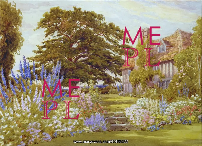: The Old Manor Garden : The Old Manor Garden