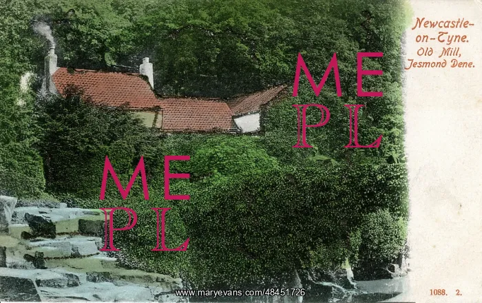 : Old Mill, Jesmond Dene, County Durham : Old Mill, Jesmond Dene, County Durham