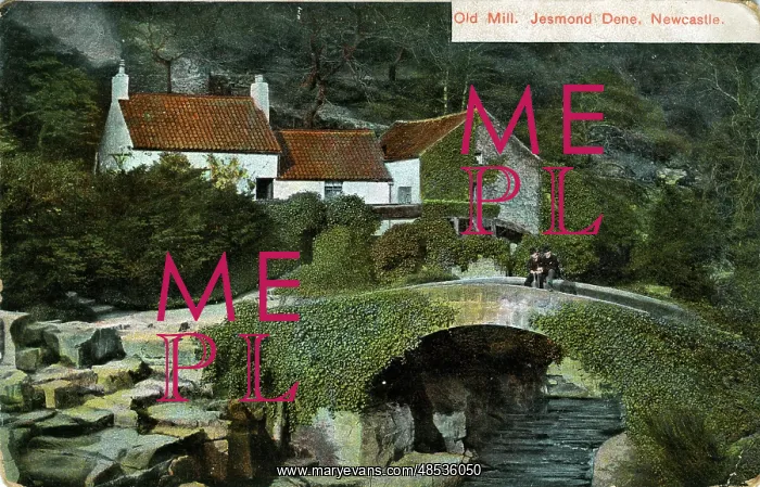 : The Old Mill, Jesmond Dene, County Durham : The Old Mill, Jesmond Dene, County Durham