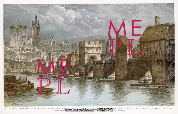 : The Old Newcastle Bridge : The Old Newcastle Bridge
